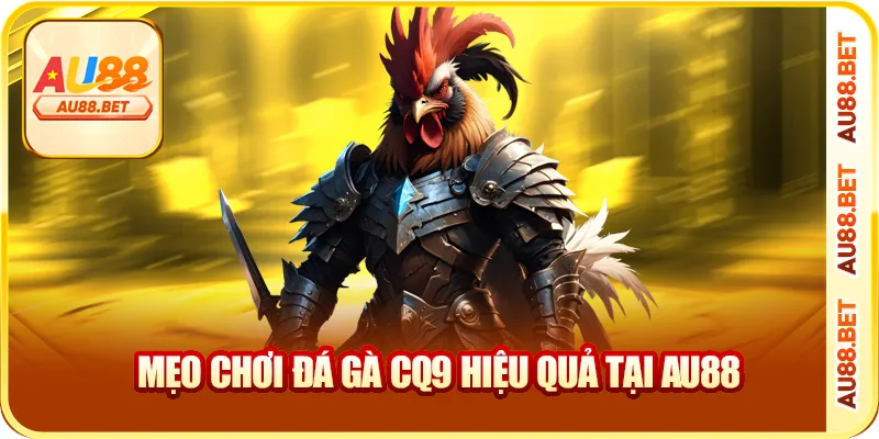 Mẹo chơi đá gà CQ9 hiệu quả tại AU88